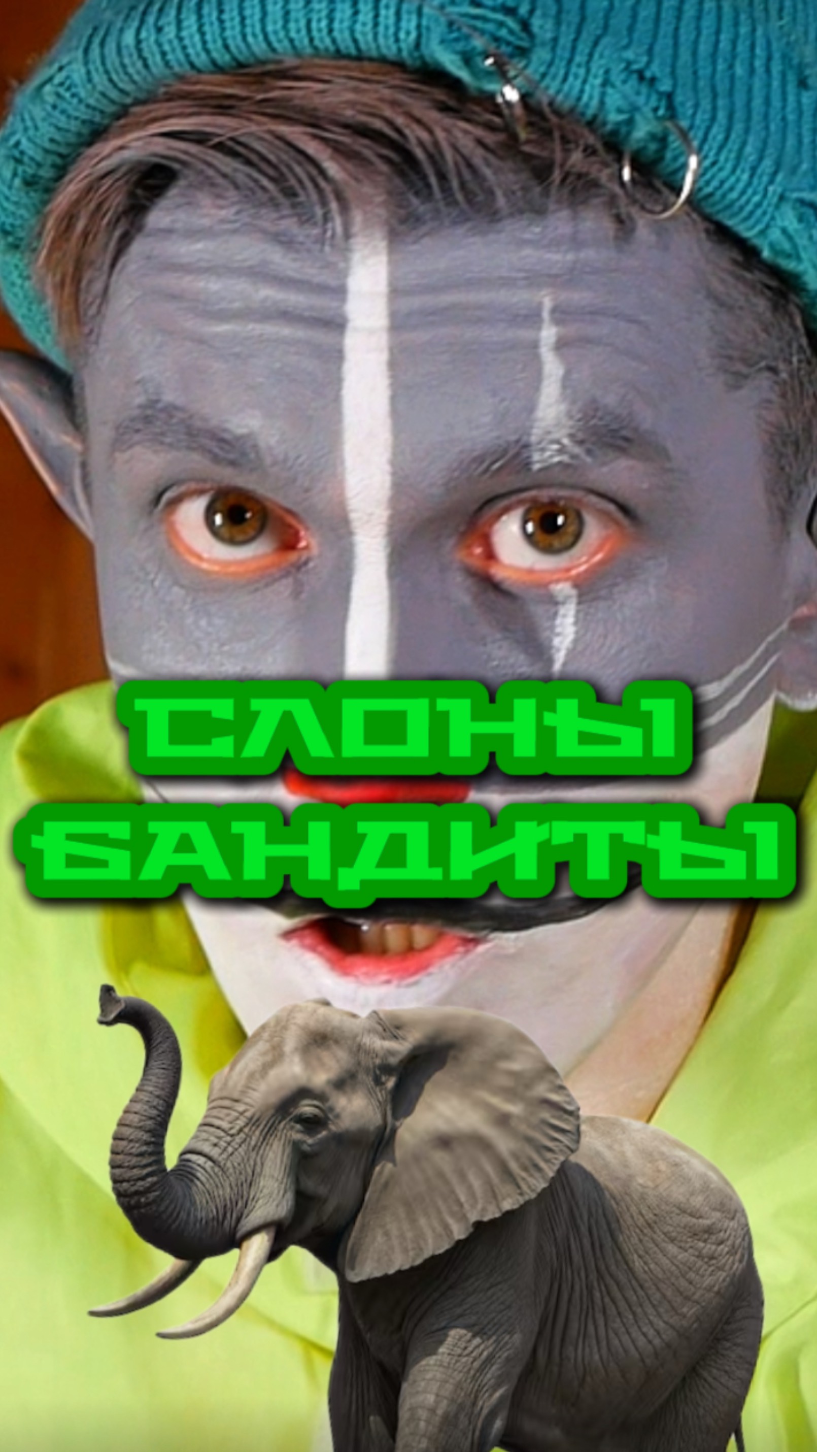 Кот Учёный и Слоны бандиты 🐘 смотреть онлайн