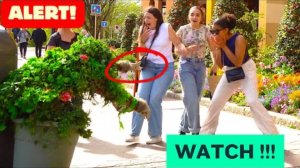 BUSHMAN PRANK_ A DAY SHE WILL NEVER FORGET !! #fun#funny#comedy#prank
