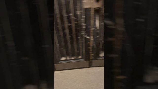 Прятки Хван