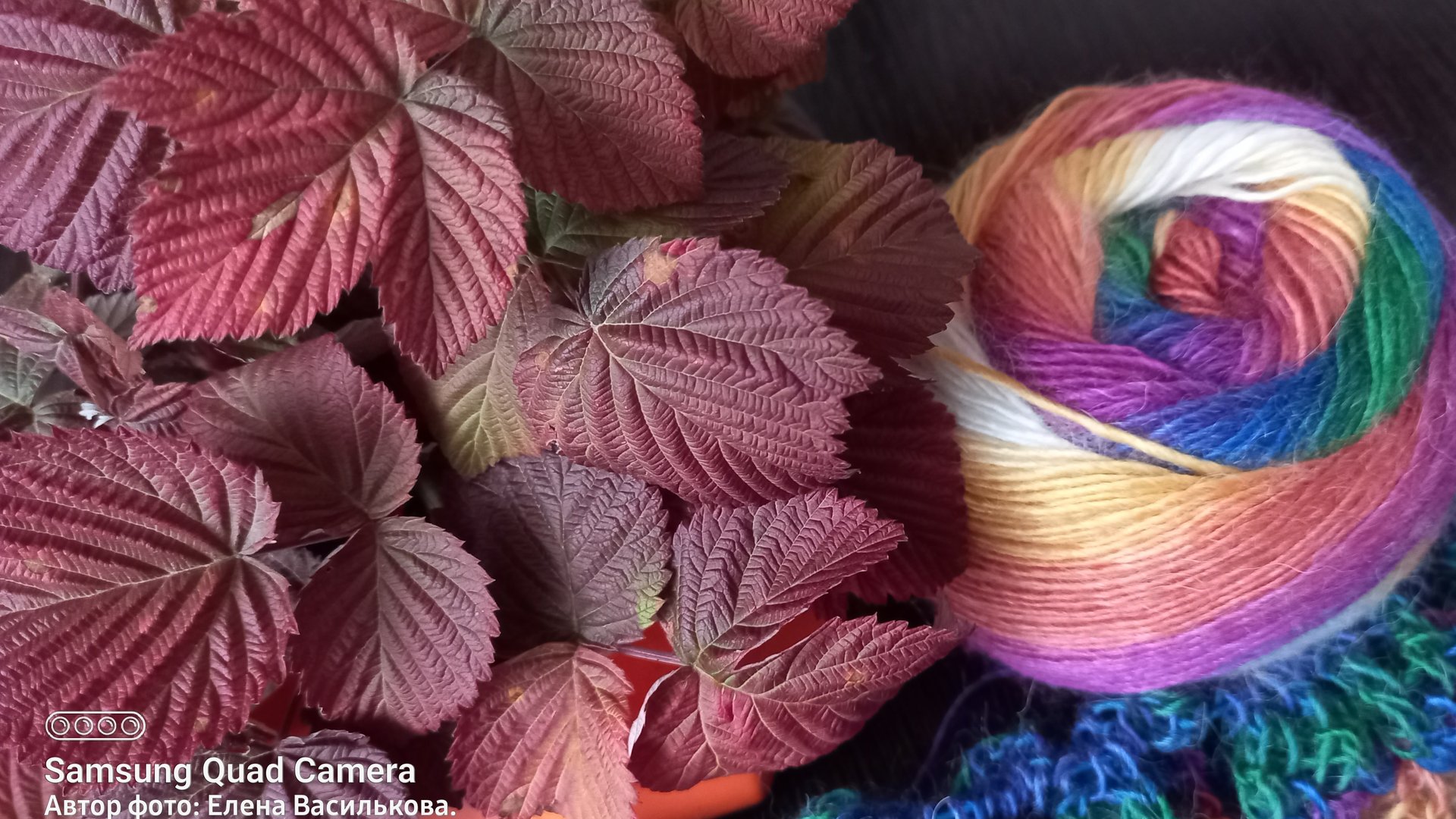 СП Нам Осень краски подарила//Отчёт 3 смотреть онлайн