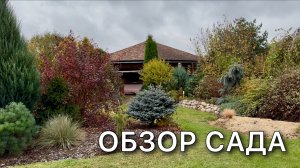 Обзор растений. Прогулка по саду. Хвойные Многолетники Кустарники Деревья Октябрь’25
