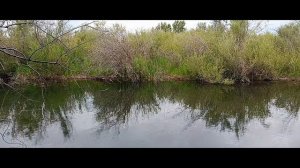 Начало.Лето.Но печально - мутняк...19.06.2025