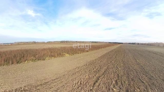 10038368, 10038526 смотреть онлайн