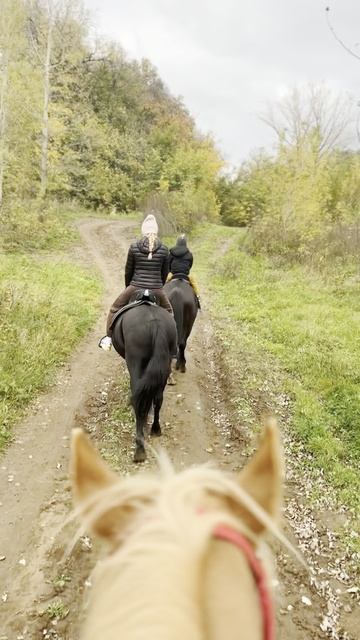 Конная прогулка