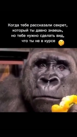 Ссылка в вк 👇🏻Подписывайся ♥️