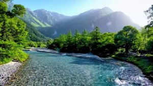 Бирюзовая горная река на рассвете – Чистый шум воды, Отсутствие птиц. Спокойная природная атмосфера