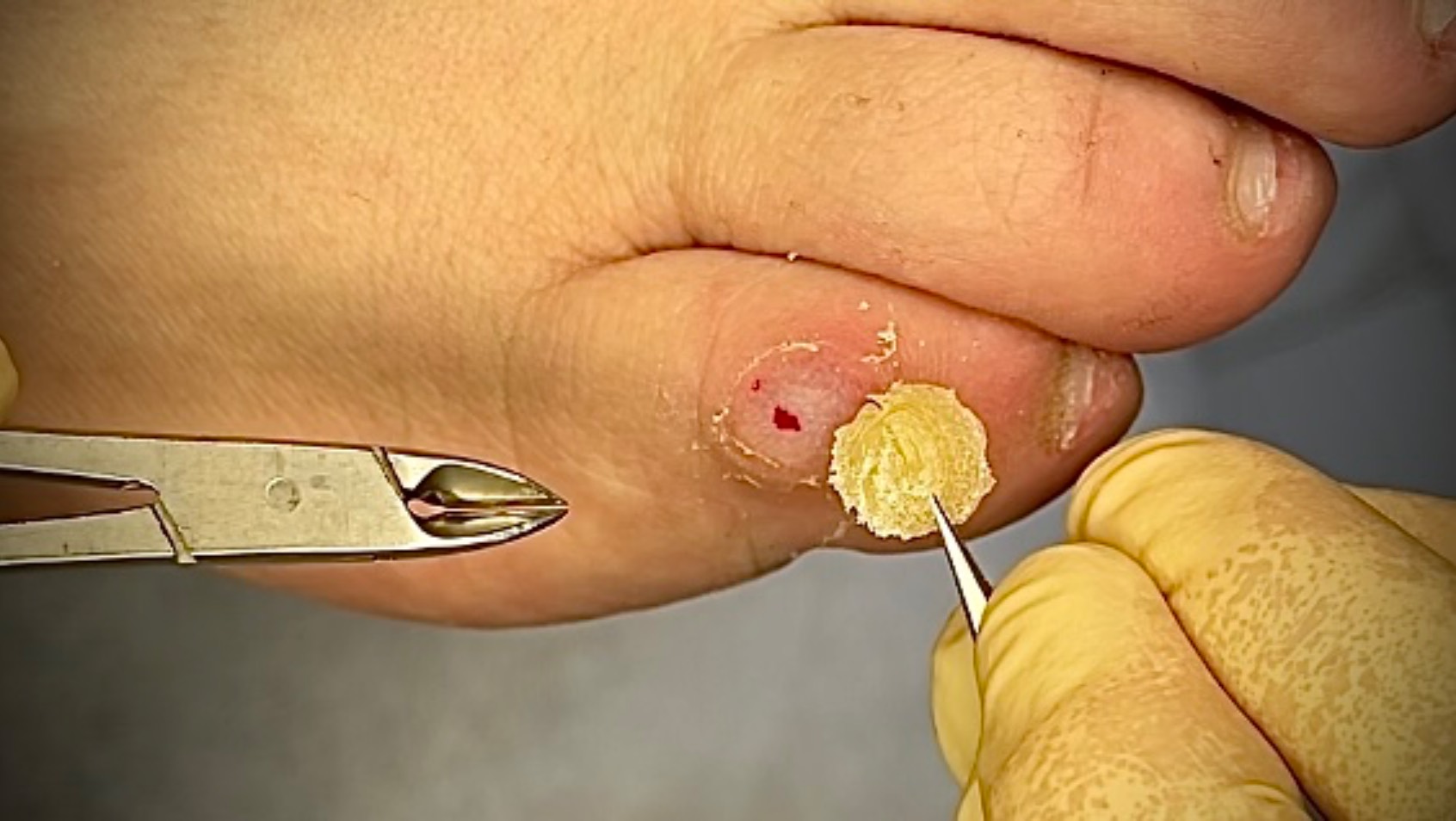 Отвлечь от процесса смотреть онлайн