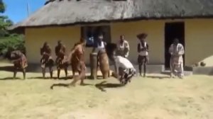 Band ODESSA Ромашка белая_Танцуют все -даже Папуасы