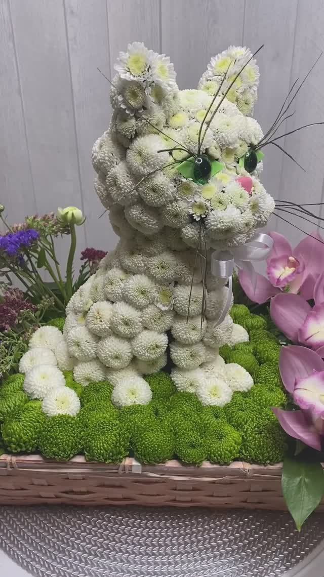 Кошка из белых хризантем смотреть онлайн