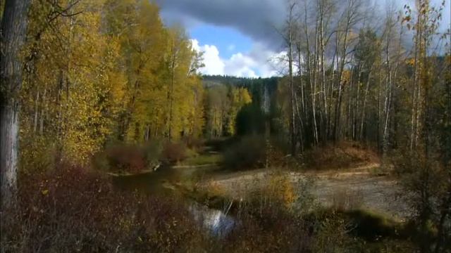 Загуляла осень,загуляла смотреть онлайн