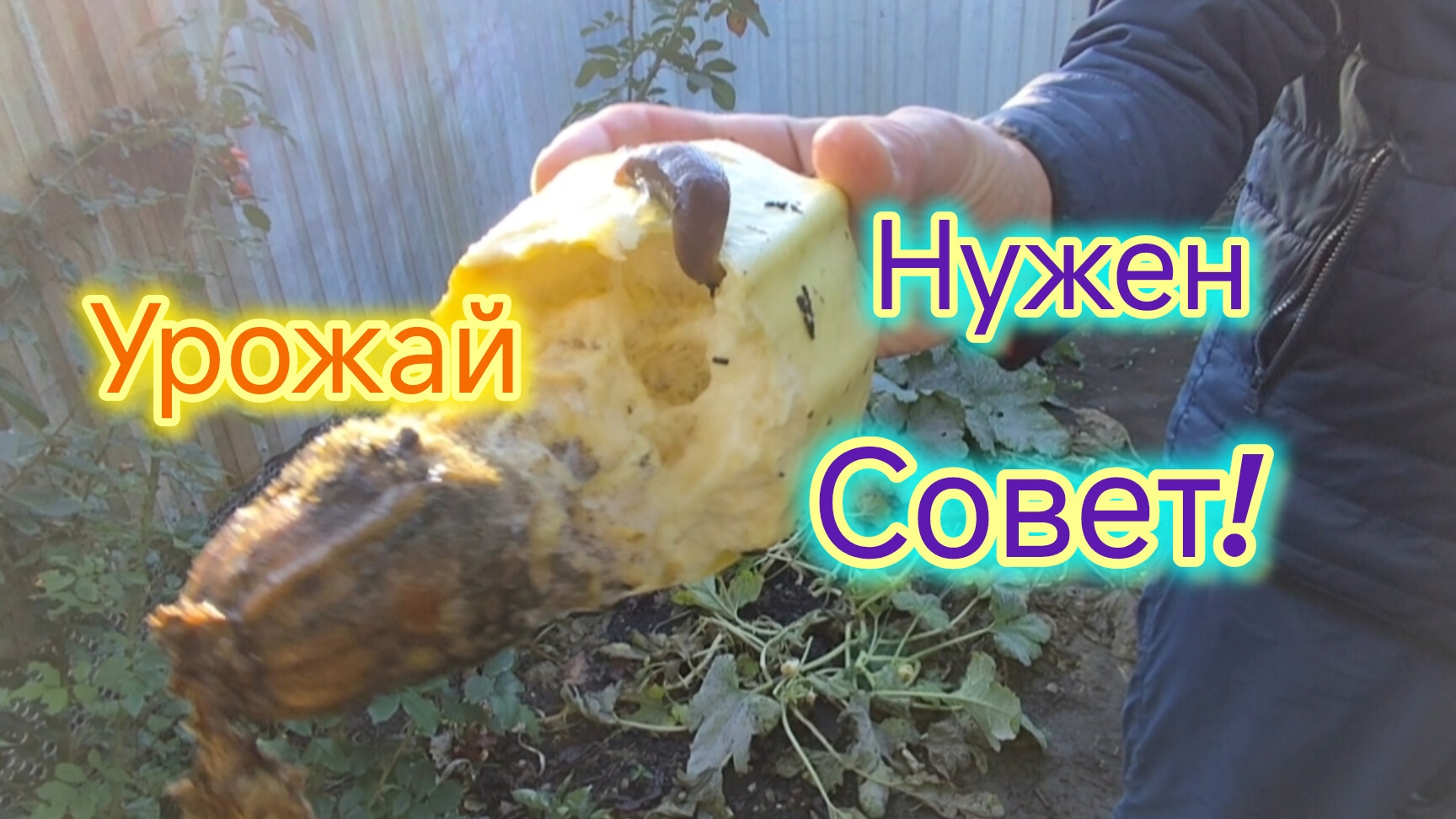 Урожай/Нужен СОВЕТ подписчиков/Ремонт в квартире 90-х/Протянули ЭЛЕКТРИКУ смотреть онлайн