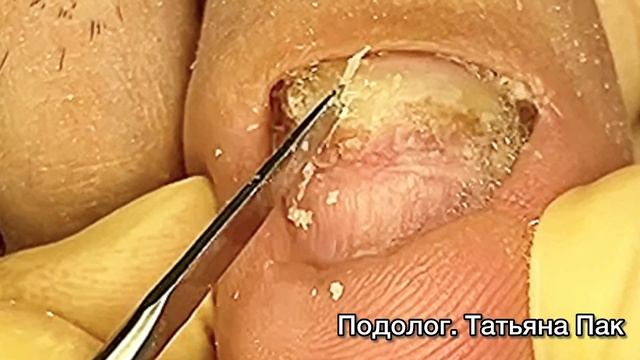 Пещера - гнездо смотреть онлайн