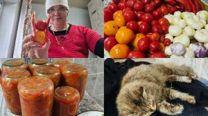 Муж приехал,мотоблок в работе, "Сладкая луковка"