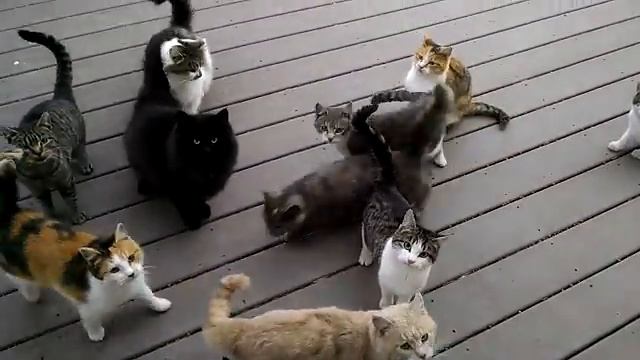 Every day Every Darn Day смотреть онлайн