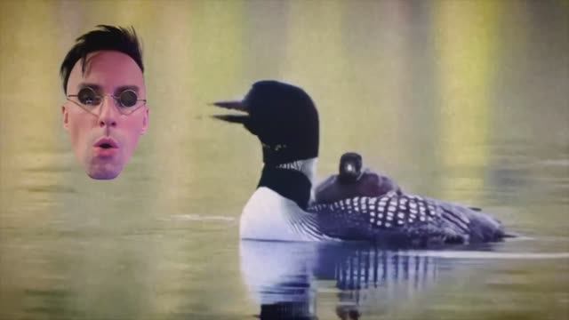 Venjent - Take Your Own Advice смотреть онлайн