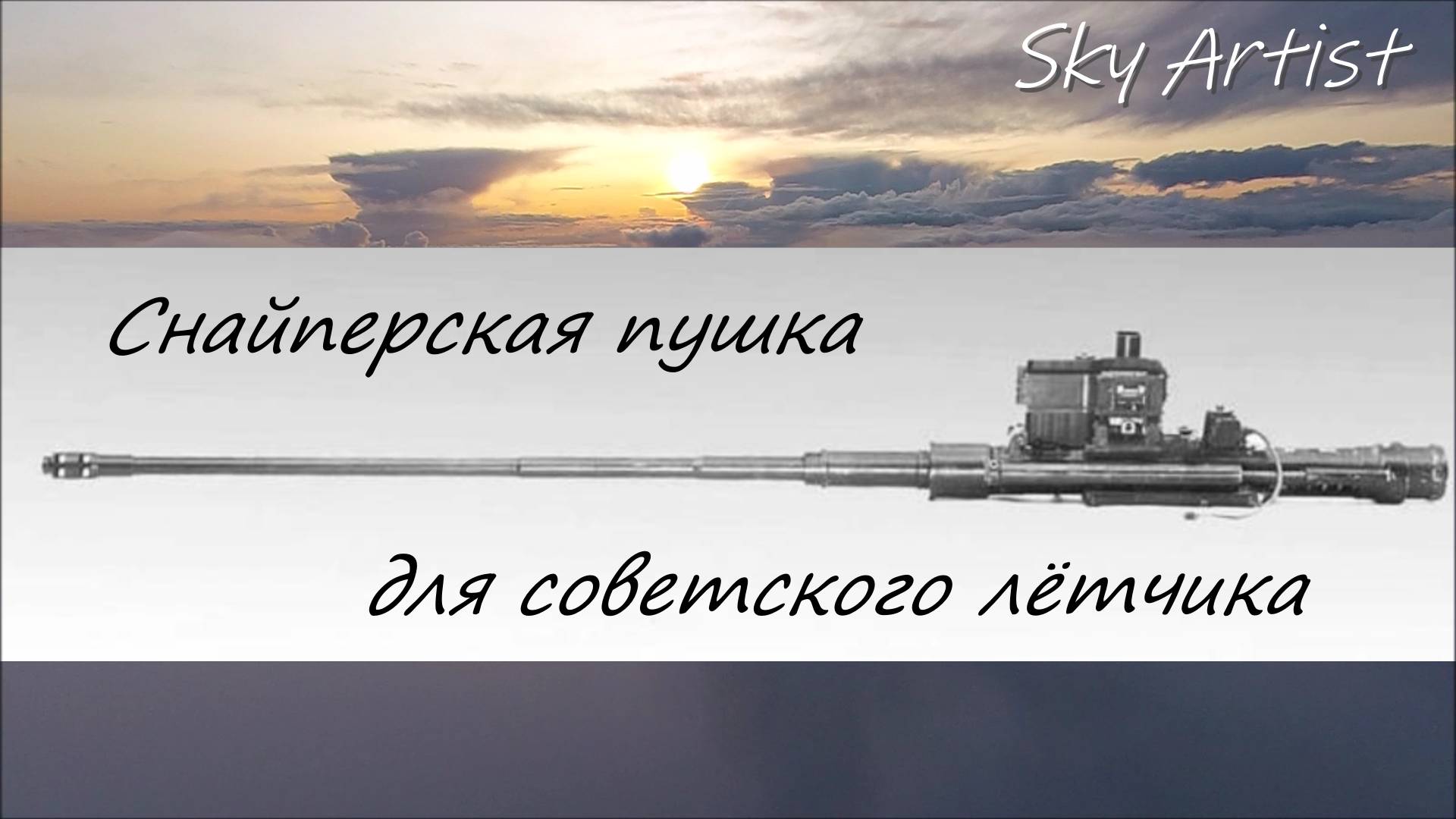 Снайперская пушка для советского лётчика- снайпера