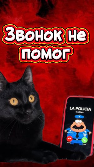 Что это за существо? 🙀 #кот #кошка #котики #животные #ужасы #страшно #ужастик