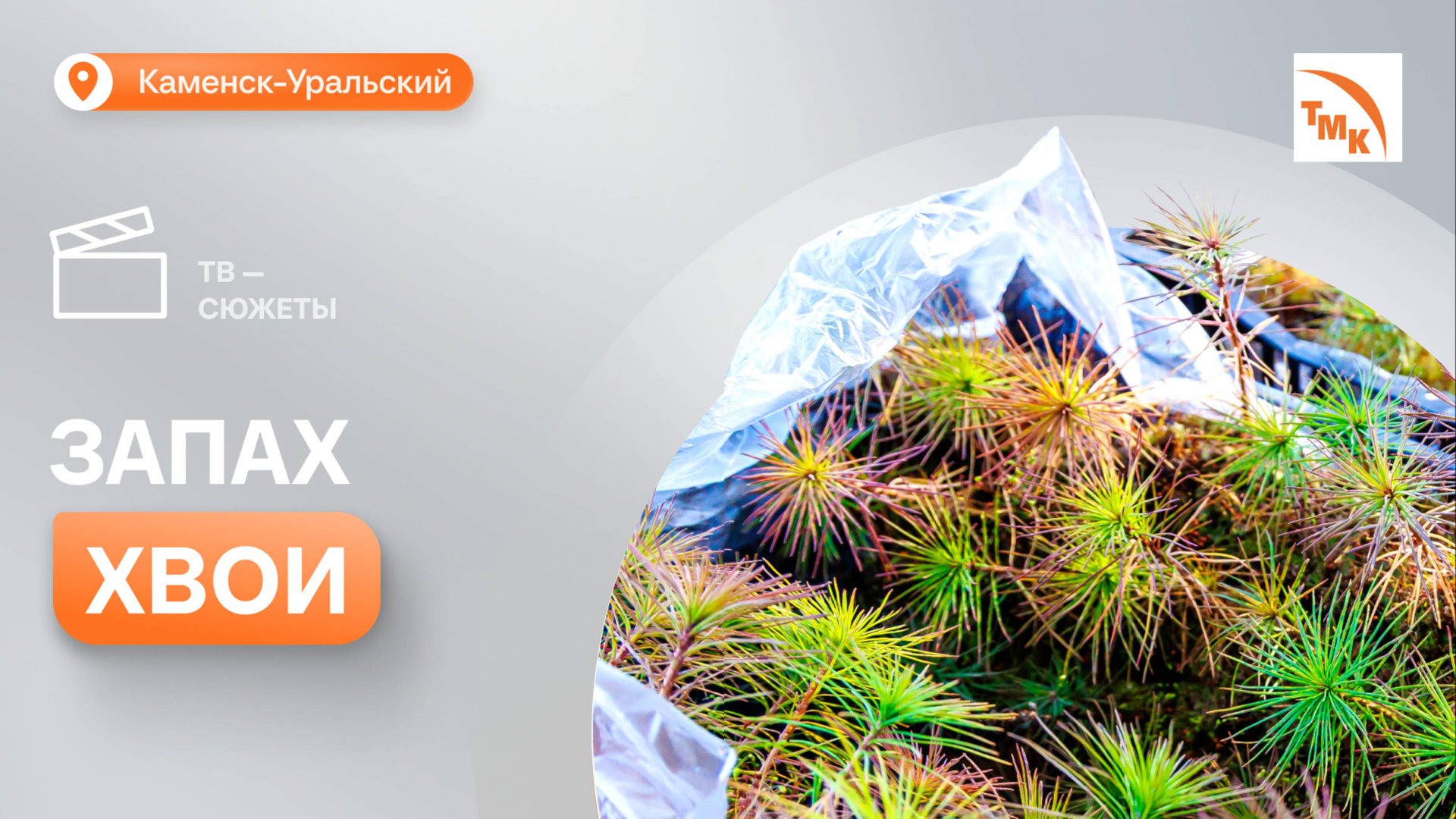 Трубники СинТЗ присоединились к экоакции смотреть онлайн