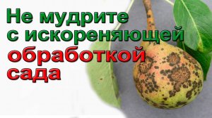 Не мудрите с искореняющей обработкой сада.