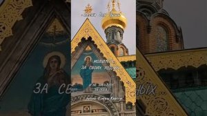 Молитесь за своих родных 🙏 песня Елены Карпук