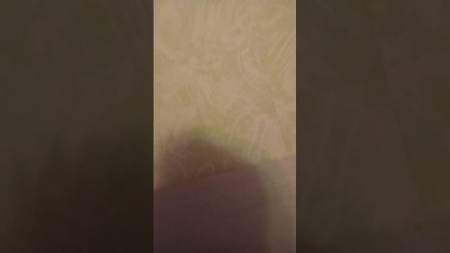 Стрим смотреть онлайн