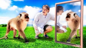 ЧТО, ЕСЛИ ОБЕЗЬЯНЕ ДАТЬ ЗЕРКАЛО?