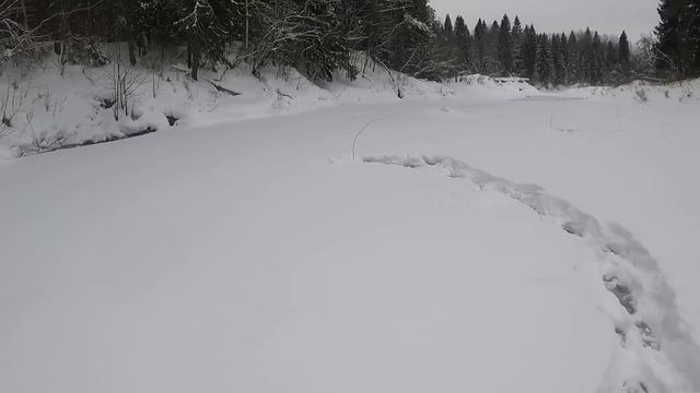 Рыбалка на Косынки. Окунь одолел с утра. Один В Лесу.
