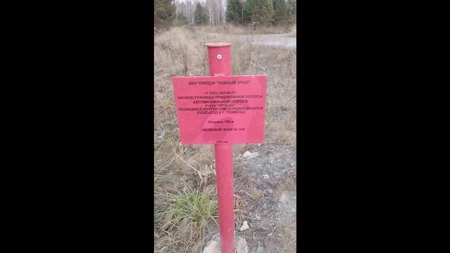 находки в лесу смотреть онлайн