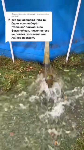 Сделал как и обещал смотреть онлайн