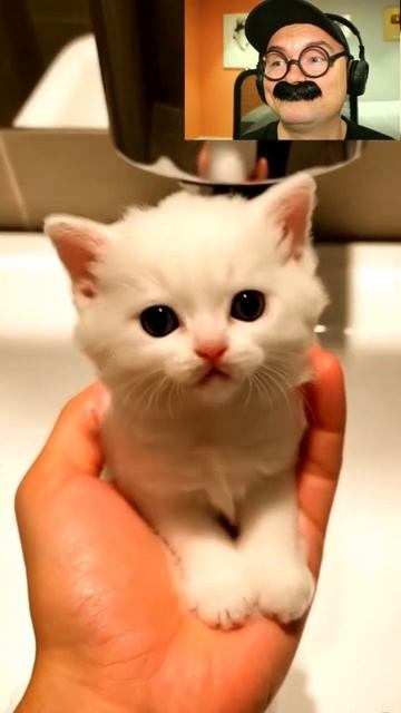 Какое-то странное мыло смотреть онлайн