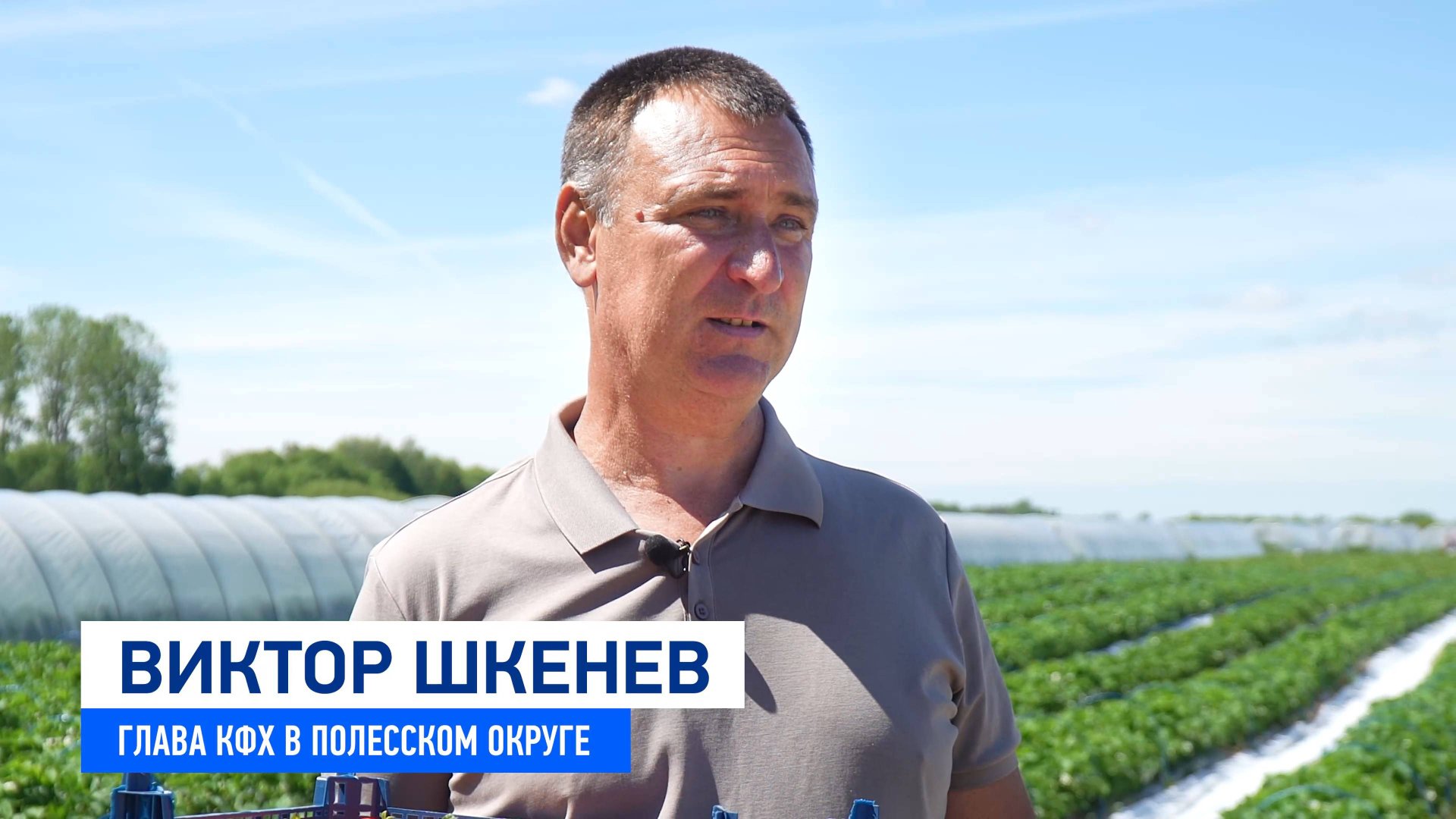 ИП Шкенев Виктор Николаевич смотреть онлайн