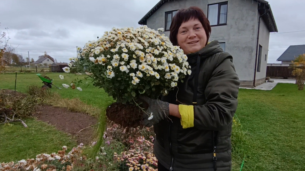 Поделюсь бесплатно.Снова чуток не по плану смотреть онлайн