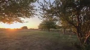 Рыбалка в канале, ловля карася на поплавочную удочку