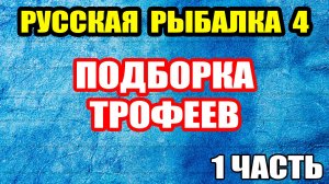Подборка старых ТРОФЕЕВ. Часть 1 ● Русская Рыбалка 4 | РР4