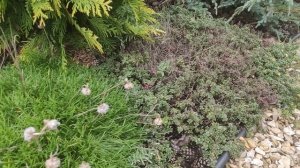 Прогулка по осеннему саду.Собираем настил на мостик.