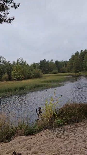 Карелия. Медвежьегорск. Karelia. Medvezhyegorsk смотреть онлайн