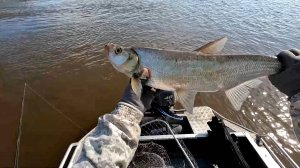 Осенний жор он такой!