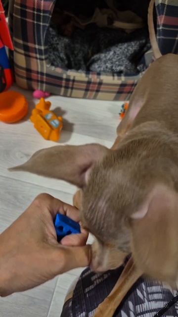 Меня покажи😁