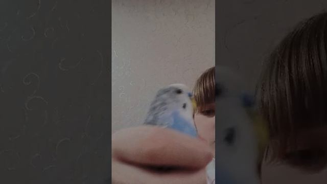 3 часть как чик летает