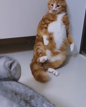 🤣 Кожаный... У всех есть такие знакомые... 🤣