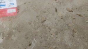 hisun tactic 750 цепь маслонасоса