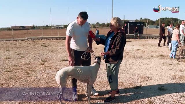 Клуб Шико. Выпуск от 18.10.25