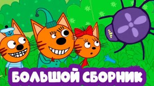 ТРИ КОТА