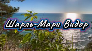 Шарль-Мари Видор. Орган, симфония номер 6