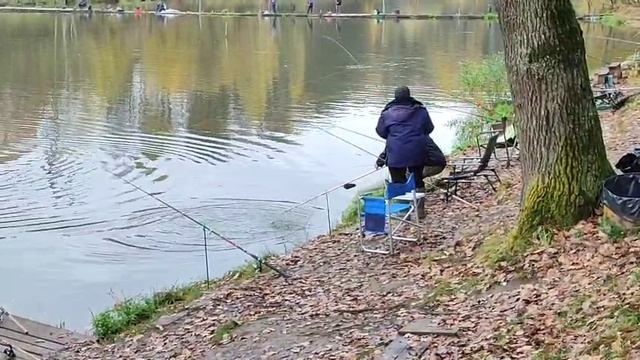 На донку смотреть онлайн