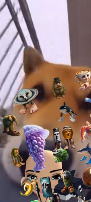 лепка Хагги ваги