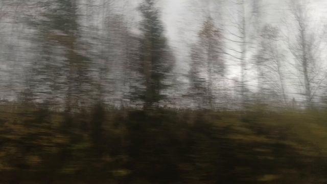 1225.mp4 смотреть онлайн