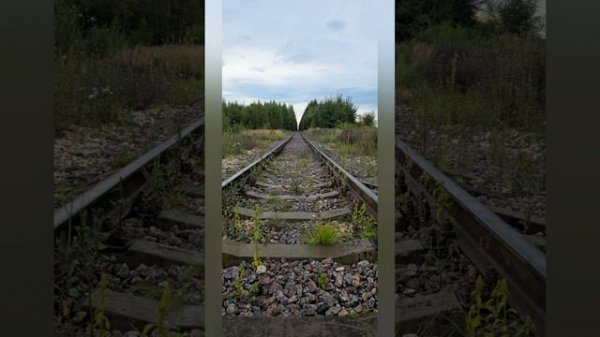 В глазах твоих The Zav's