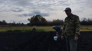 18-10-2025 ПОСАДКА ОЗИМОГО ЧЕСНОКА.