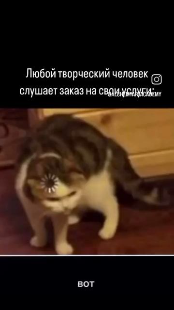 Творческие люди, они такие 😂. Если ты один из них ставь 👍 смотреть онлайн